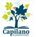 Capilano Elementary