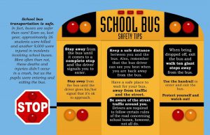 school zone safety school bus