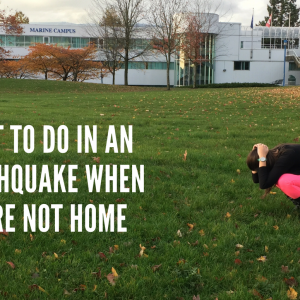 What to Do in An Earthquake When You’re Not at Home