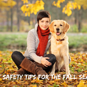 8 Pet Safety Tips for the Fall Season